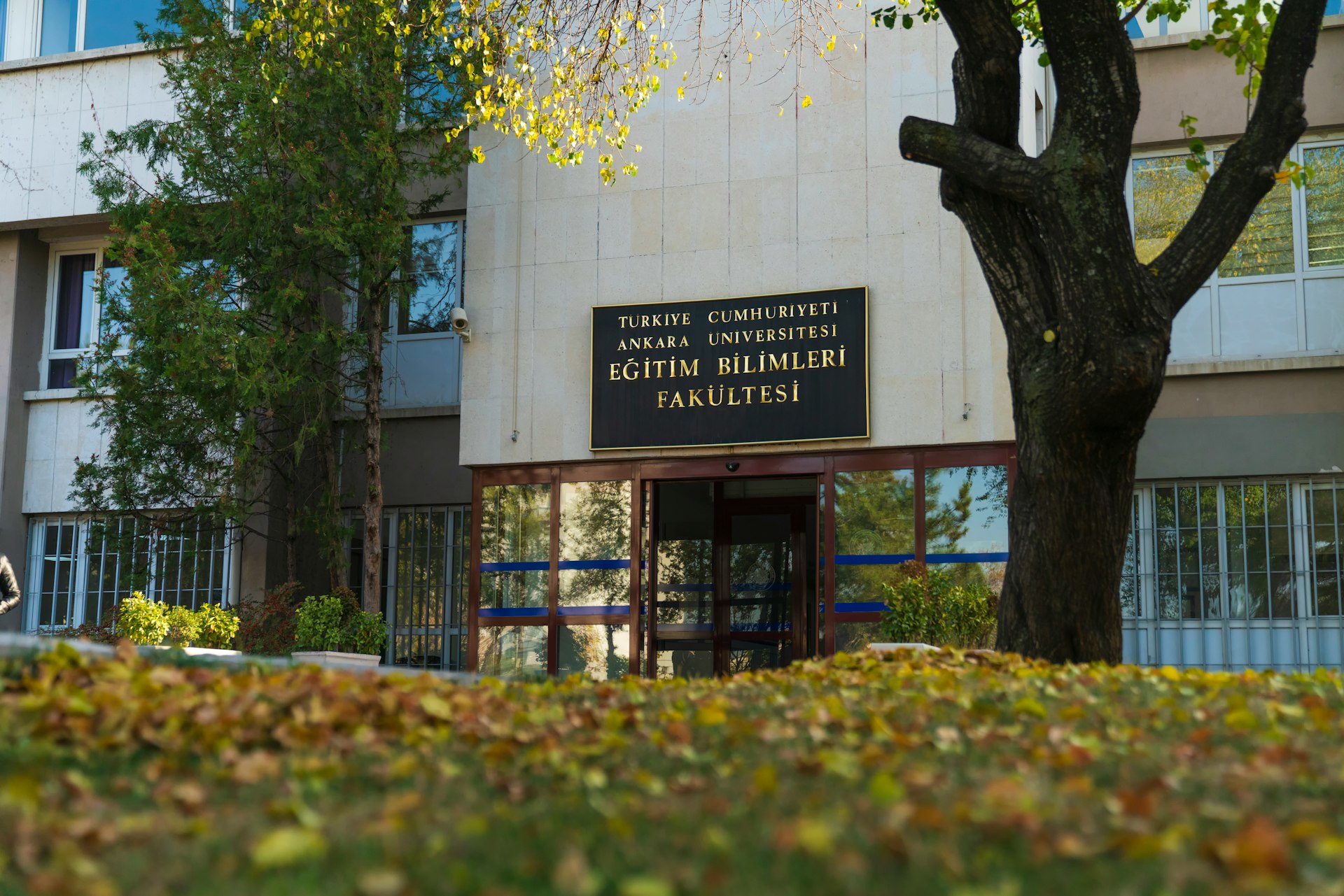 a building with a tree in front of it